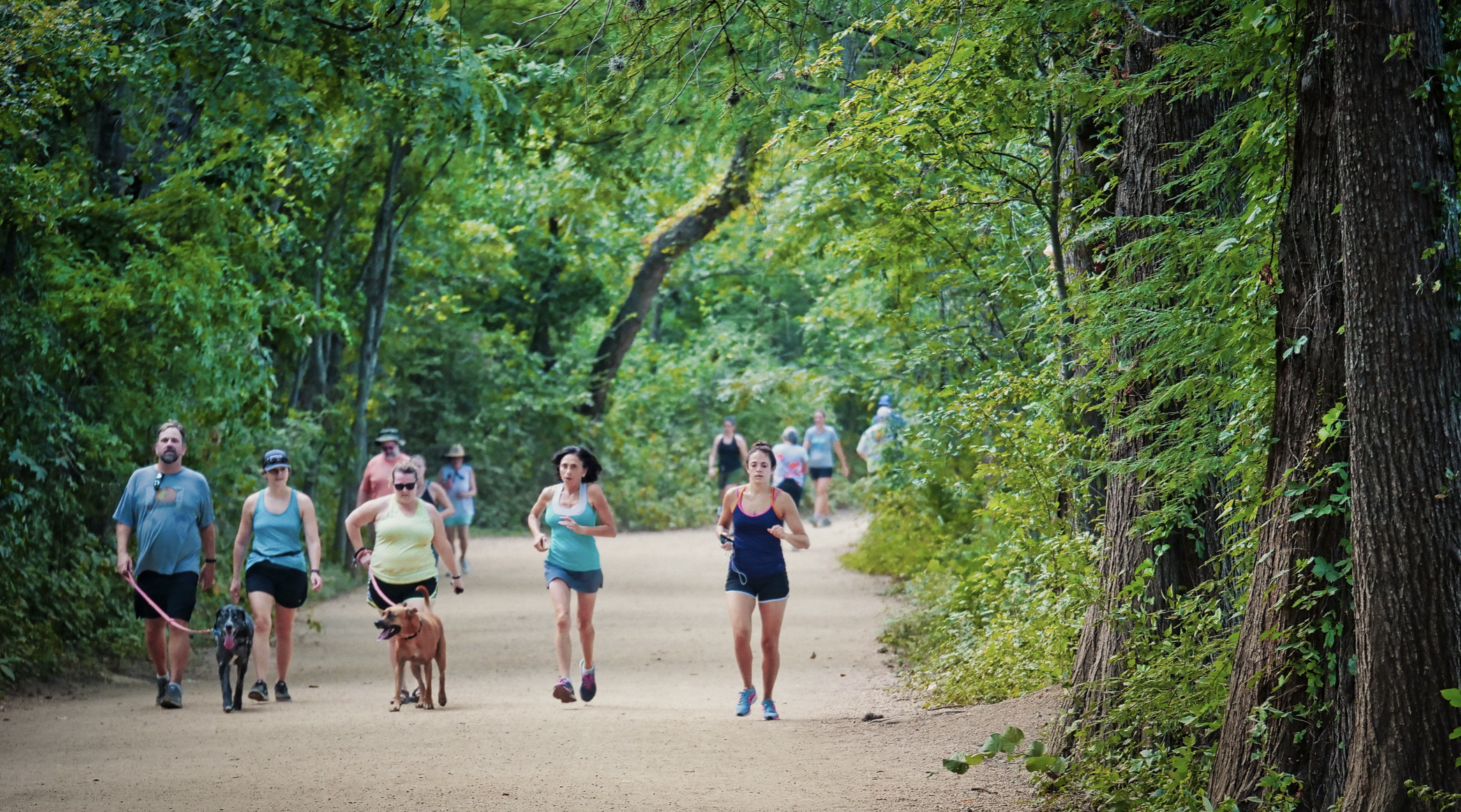<h3>Lady Bird Lake Trial</h3>“>
                                                </div>
                <div class=