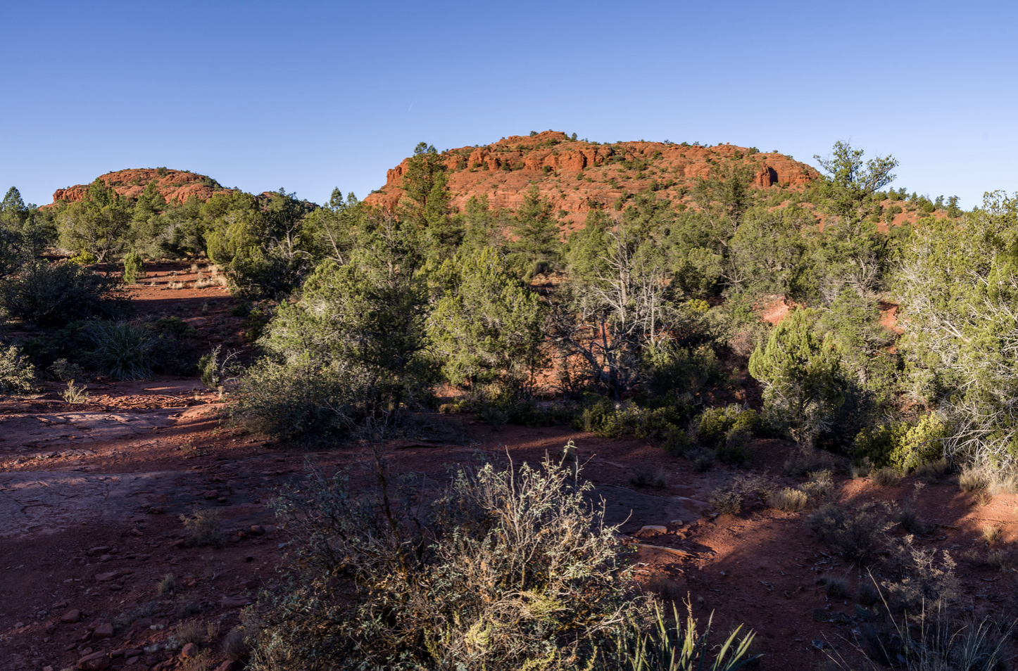 <h3>Turkey Creek Trail</h3>“>
                                                </div>
                <div class=