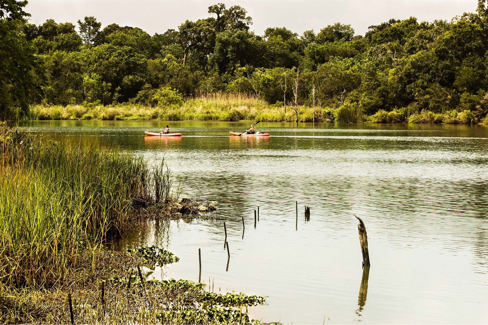 <h3>Armand Bayou Nature Center</h3>“>
                                                </div>
                <div class=