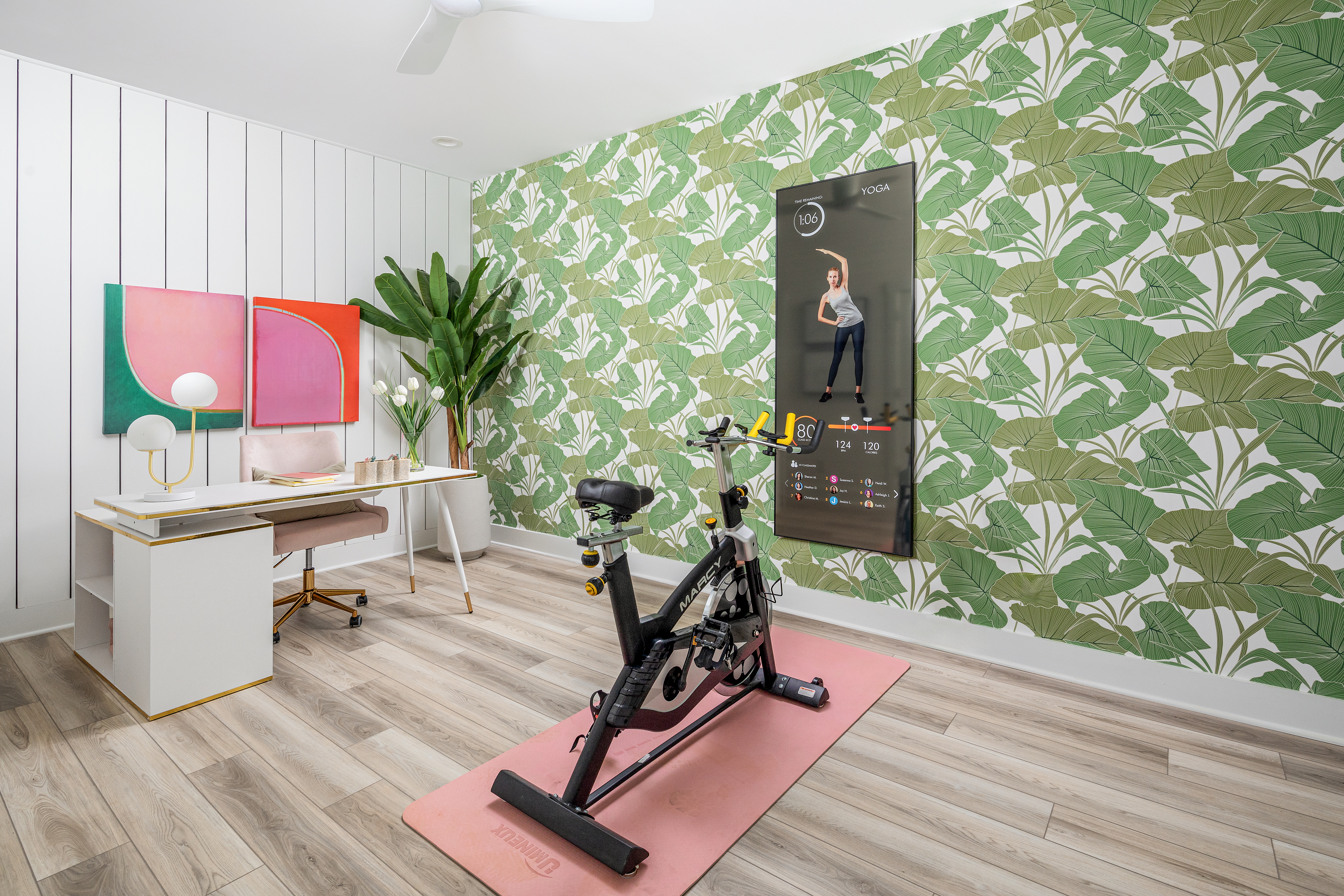 CAR-Ashby-model-Brixton-Flex-PRO