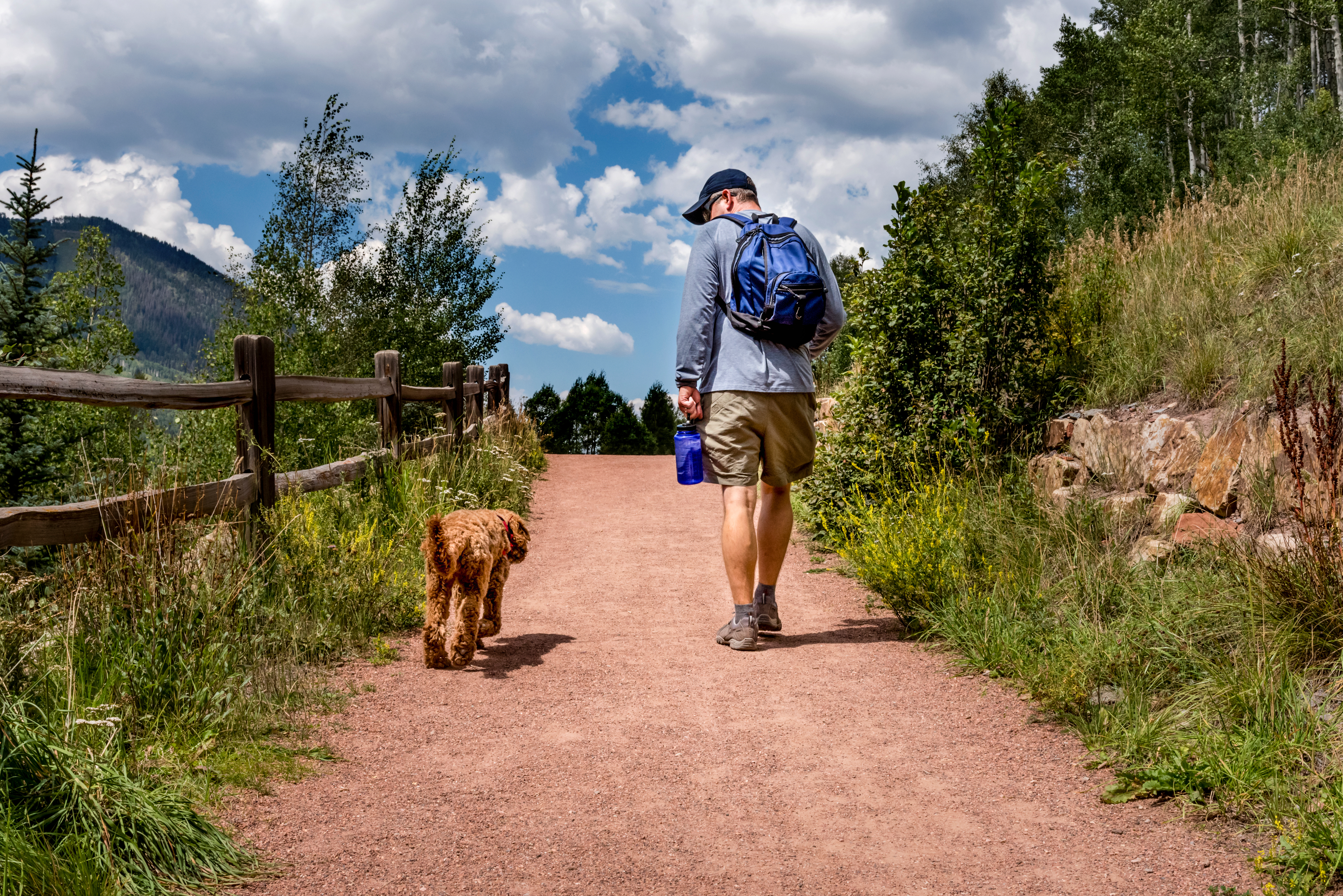 Best friends -- one man hiker and his labradoodle dog -- walk side by side on a dirt hiking trail near the mountains on a sunny summer day. Outdoor recreation and healthy activity in a beautiful landscape.
