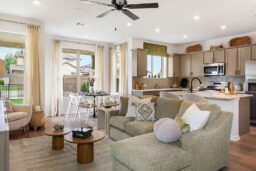 Our Homes