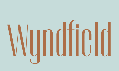 Community-Carousel-Wyndfield