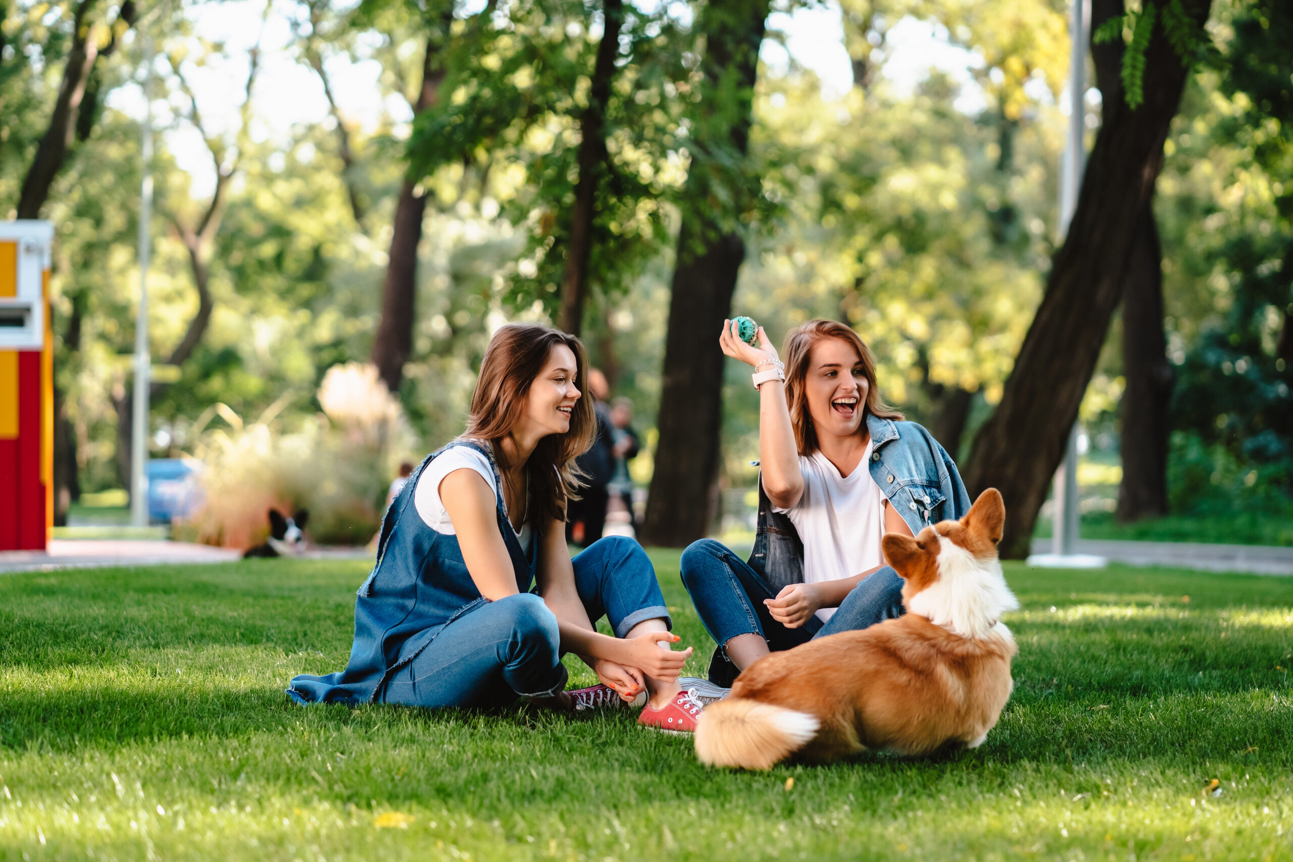 Two female friend in the park at lawn play with little dog