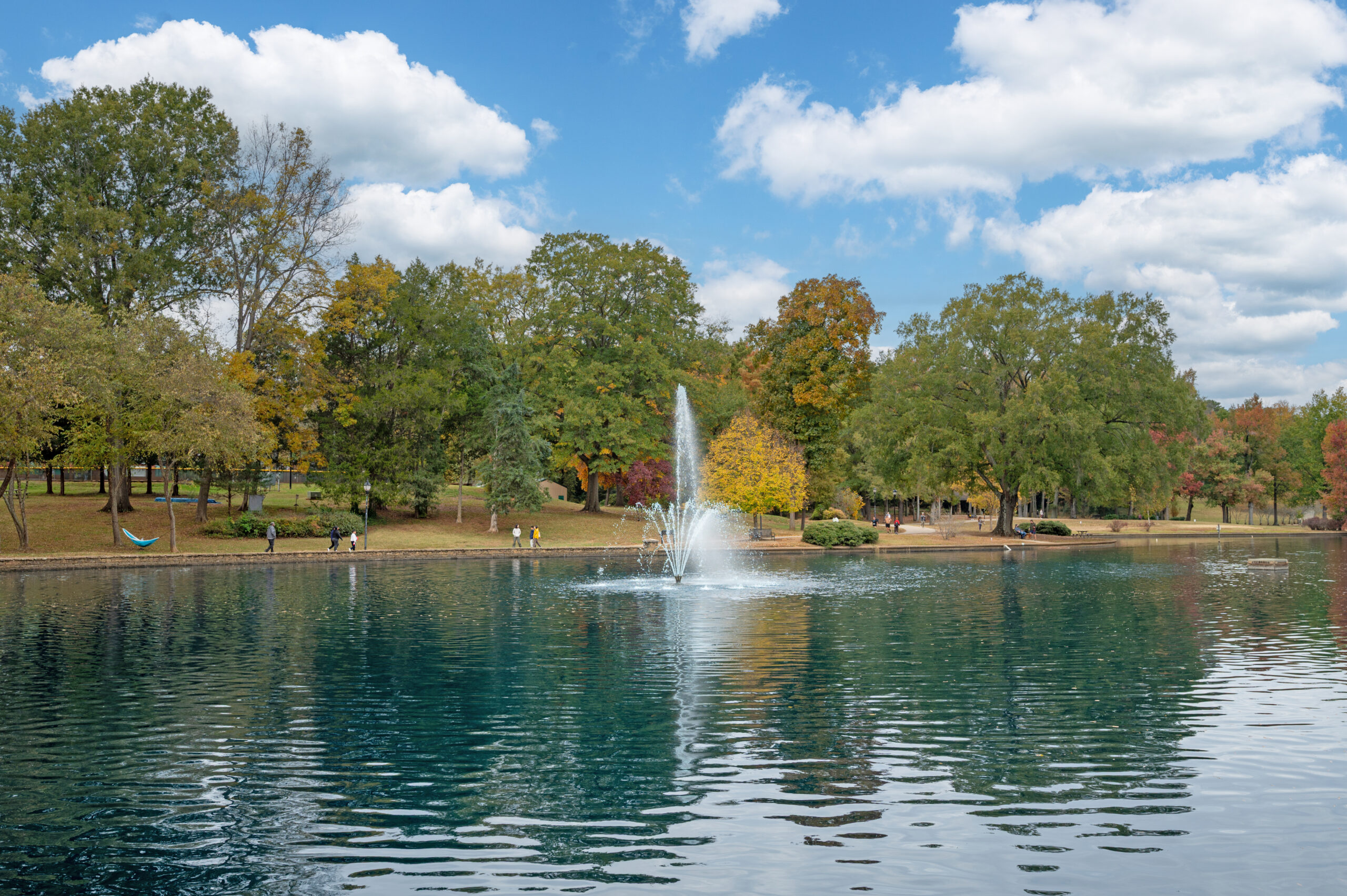 CAR_Freedom_Park_c (1)