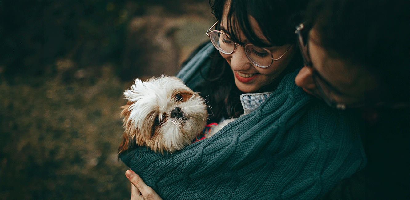 pexels-helenalopes-1378849.png