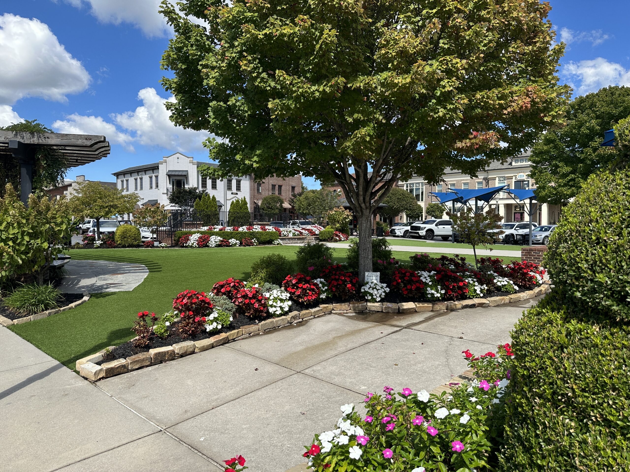 Cambridge Square-Summertime in the Square
